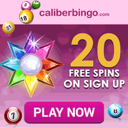 free spins bingo no deposit